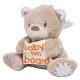 Baby On Board Teddy Bear Baby On Board Teddy Bear
