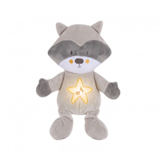 Bright Raccoon Hug