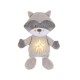 Bright Raccoon Hug Bright Raccoon Hug