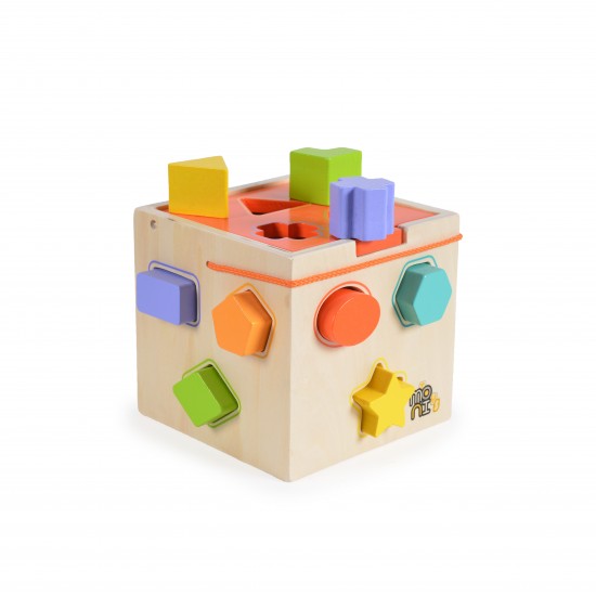 Shape Sorting Wooden Cube Shape Sorting Wooden Cube
