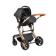 Stroller Polly 3 in 1 Black Stroller Polly 3 in 1 Black