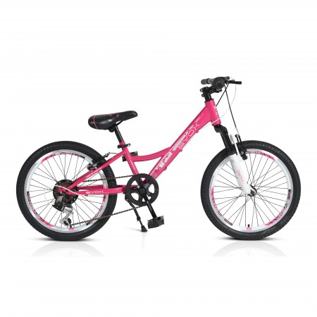 Bicycle 20″ Princess Pink