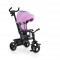 Tricycle Quick Purple And Gift Lights