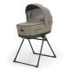 Stroller Quattro Aptica Xt Tuareg Beige Με Darwin Stroller Quattro Aptica Xt Tuareg Beige Με Darwin