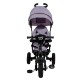 Elite Trike Gray Bike Elite Trike Gray Bike