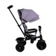 Elite Trike Gray Bike Elite Trike Gray Bike
