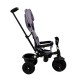 Elite Trike Gray Bike Elite Trike Gray Bike