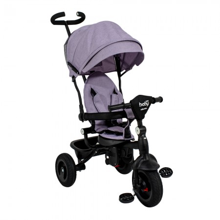 Elite Trike Gray Bike
