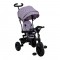 Elite Trike Gray Bike