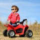 Electric Ride On Car "ATV HONDA" Electric Ride On Car "ATV HONDA"