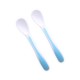 Spoons In Case 2 Pcs Blue Spoons In Case 2 Pcs Blue