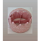 Cosmetics basket