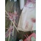 Complete Princess christening package Complete Princess christening package